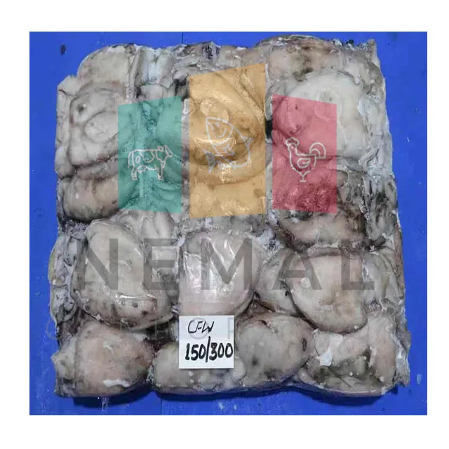 
CUTTLEFISH ORIGIN PAKISTAN 