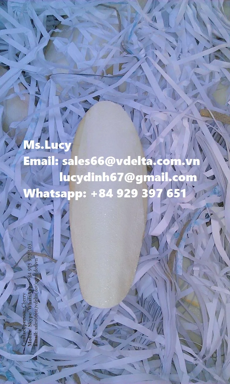 Bulk Cuttlefish Bone for Bird/ Crushed Cuttlefish Bone/ Natural Cuttlefish Bone from Vietnam Ms.Lucy +84 929 397 651