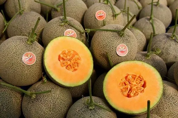 Хами дыня свежие/дыни канталупа/медовая очень питательное средство