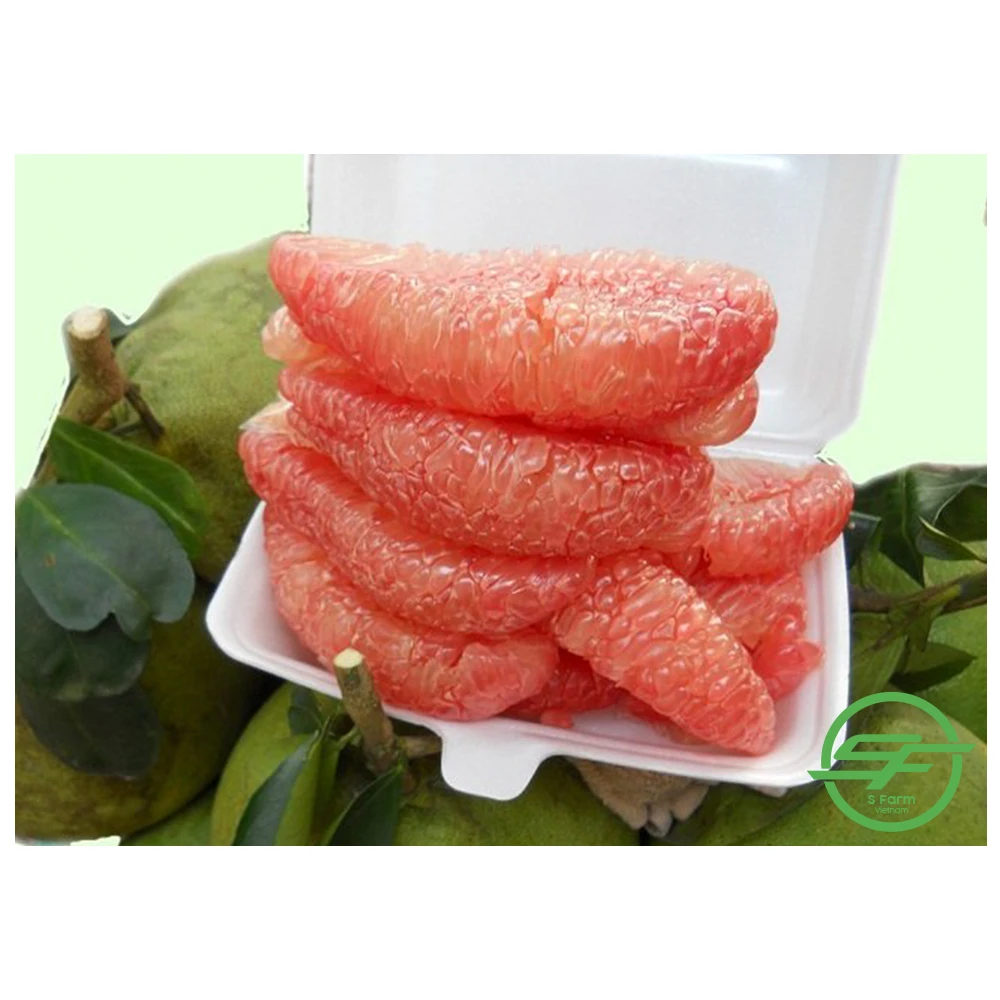 Grapefruit Best Quality Fresh Fruit Pomelo Fresh Fruit Grapefruit Vietnam Healthy Nutritious Fresh Sweet Freshly Picked Pomelo