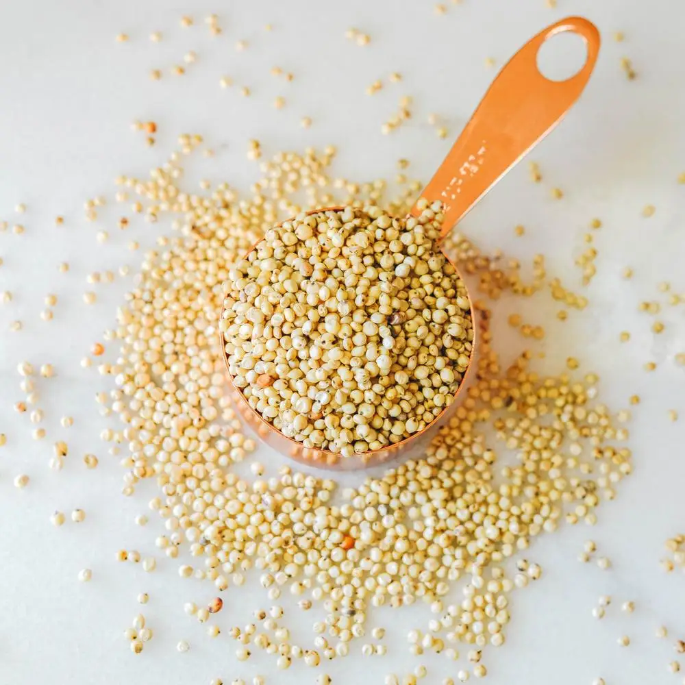 Зернистый сорго лучшее качество выглядит покупателем