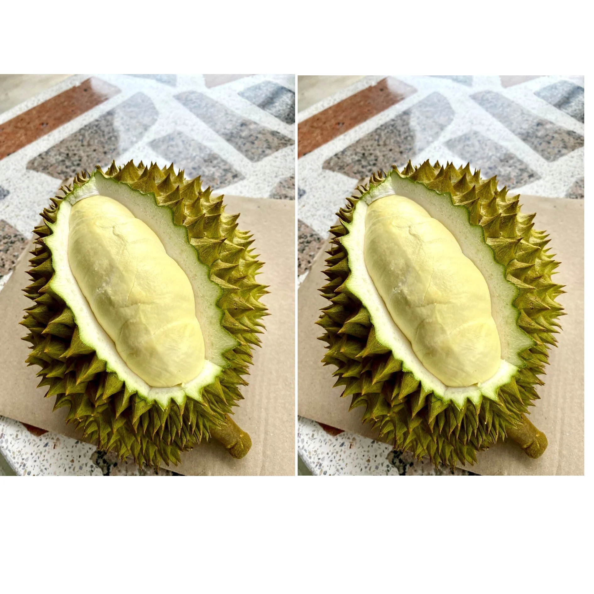 
Top Selling Premium Fresh Monthong Thai Durian With Phytosnaitary Certification In 18 kg/ Carton 