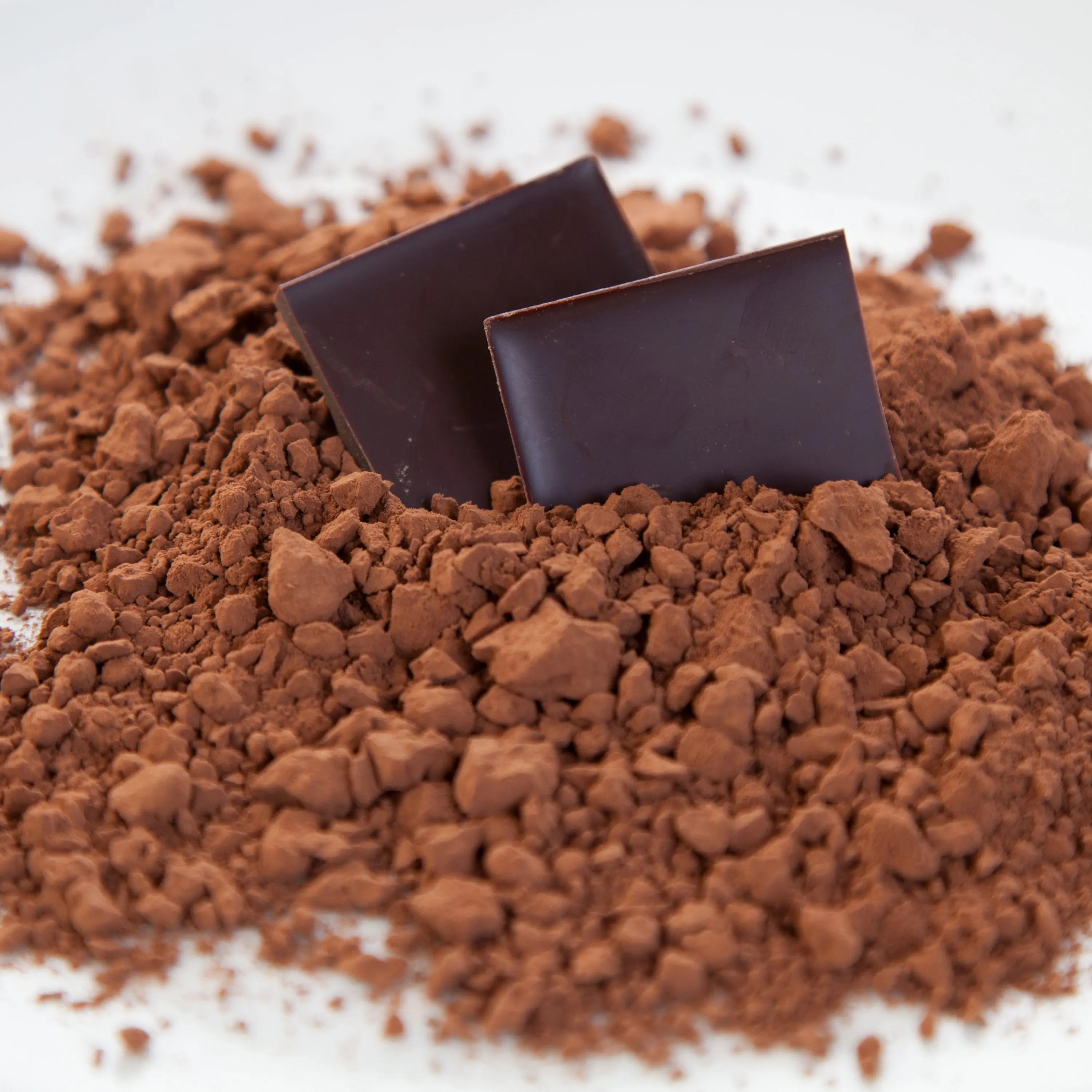 Cocoa Powder Alkalized Cocoa Powder