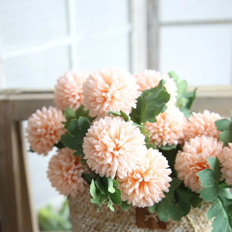 
Fresh cut Chrysanthemums flower 