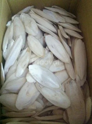 % 100 сушеные Каракатица кости-кальциево-богатые пищевые катля рыбы BONE100 натуральный шелк/Ms Деми + 84 961 733 400