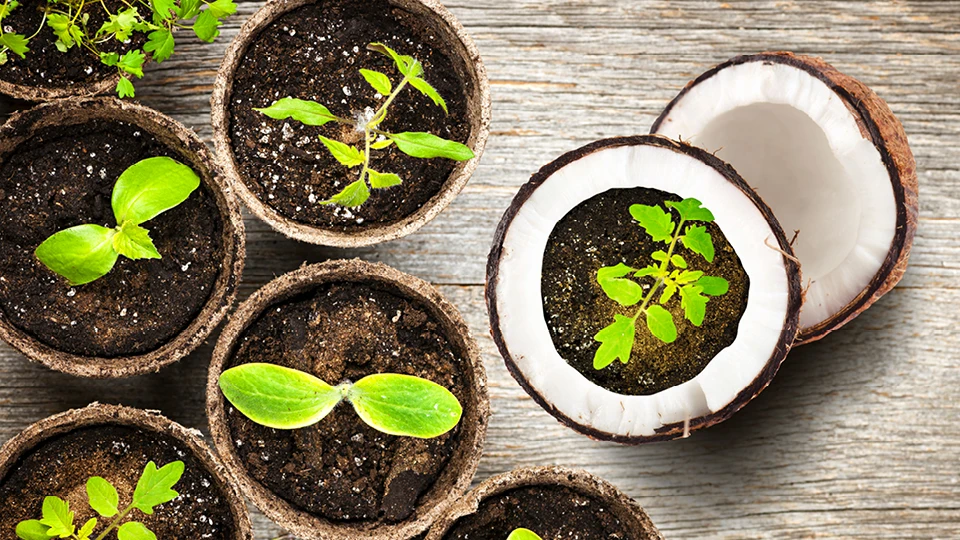 Высококачественный кокосовый торф Прямая поставка с завода cocopeat 100% органический продукт Cocopeat сделано в