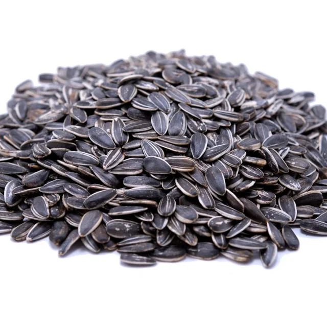 Confactionary Sunflower seeds Dakota type