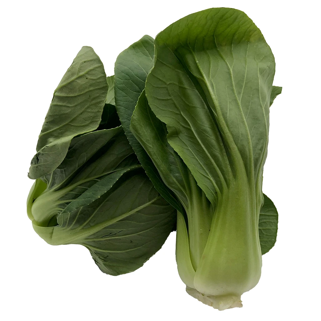 Imported Quality Super Fresh 80 percent maturity Pak Choi Other Fresh Vegetables Price Box Packing Top Grade Selecting