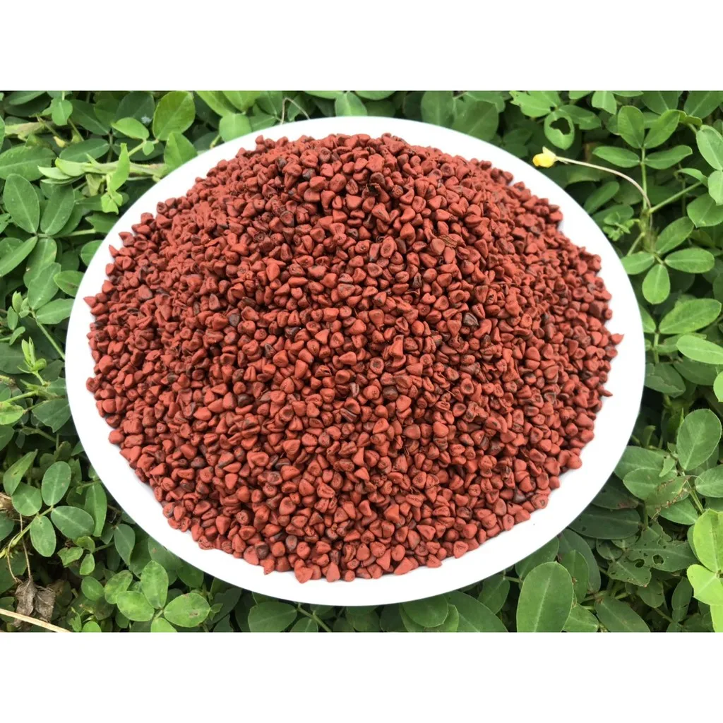 Высококачественные вьетнамские семена Аннато Roucou/семена Карри в упаковке по требованию // г-жа Нэнси Нгуен + 84 337 628 959