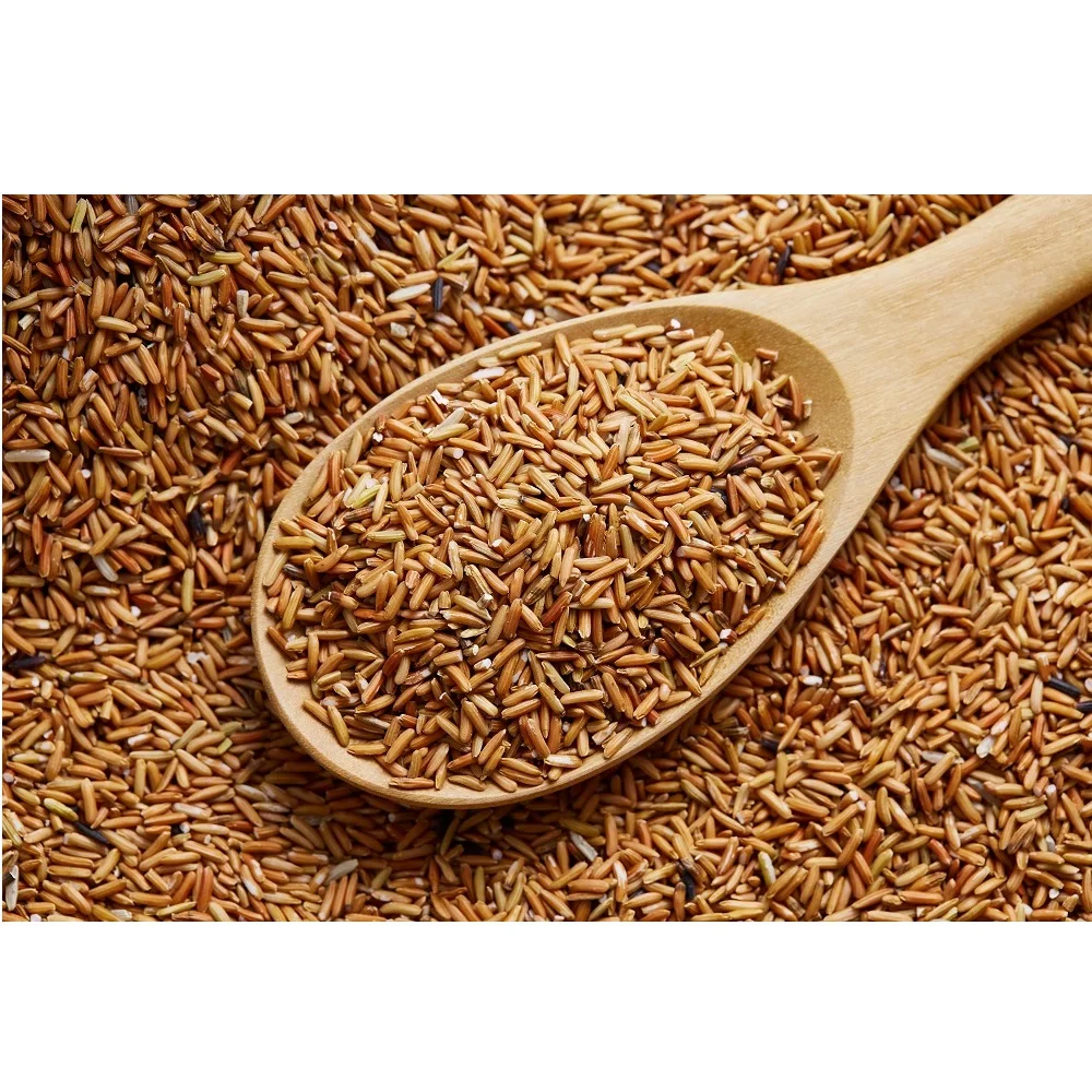 2020 Crop Long-Grain Thai Sangyod Rice Brown Rice  With 12% Max. Moisture in PP Woven Bags Packaging