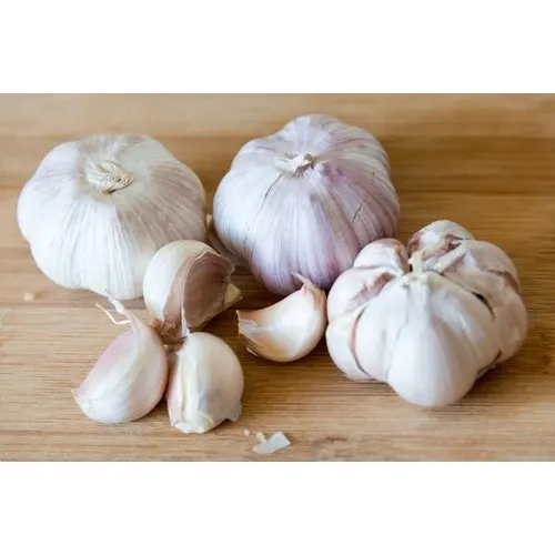 fresh-garlic-500x500 (1).jpg