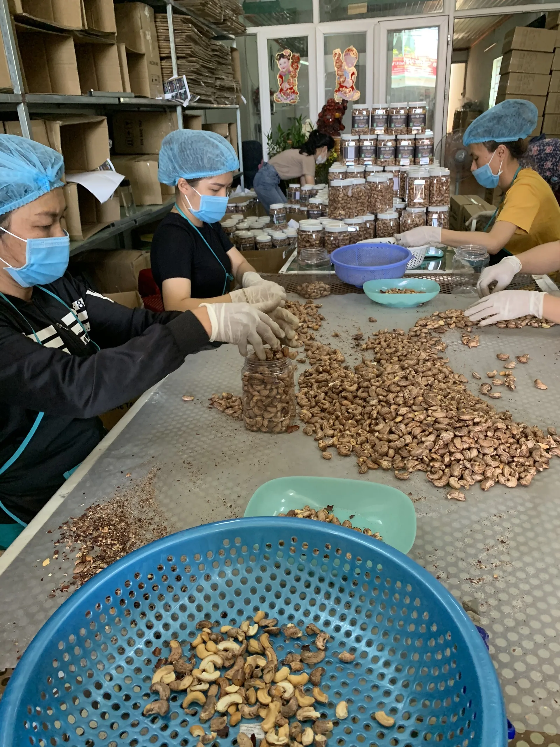 VIETNAM ROASTED CASHEW NUTS KERNELS WITH SALT
