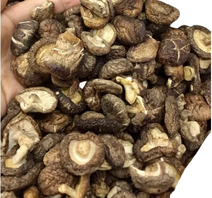 Dried Shitake Mushroom Hot Sale Vietnamese High Quality Organic Dried Food Wholesale Price New Crop 2021