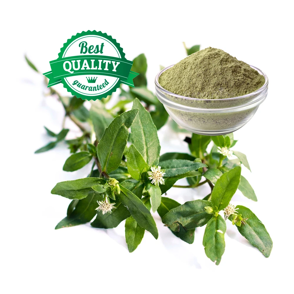 100% органический порошок Bhringraj фальшивые маргаритки лучшие продукты для ухода за волосами OEM частная марка от производителя