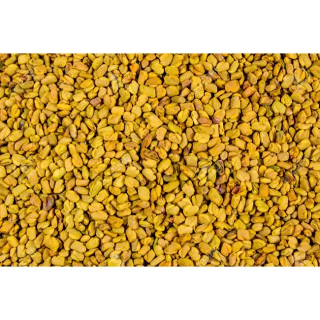  Производители чистые семена пажитника Индия глобальная торговля домами надежное название специй