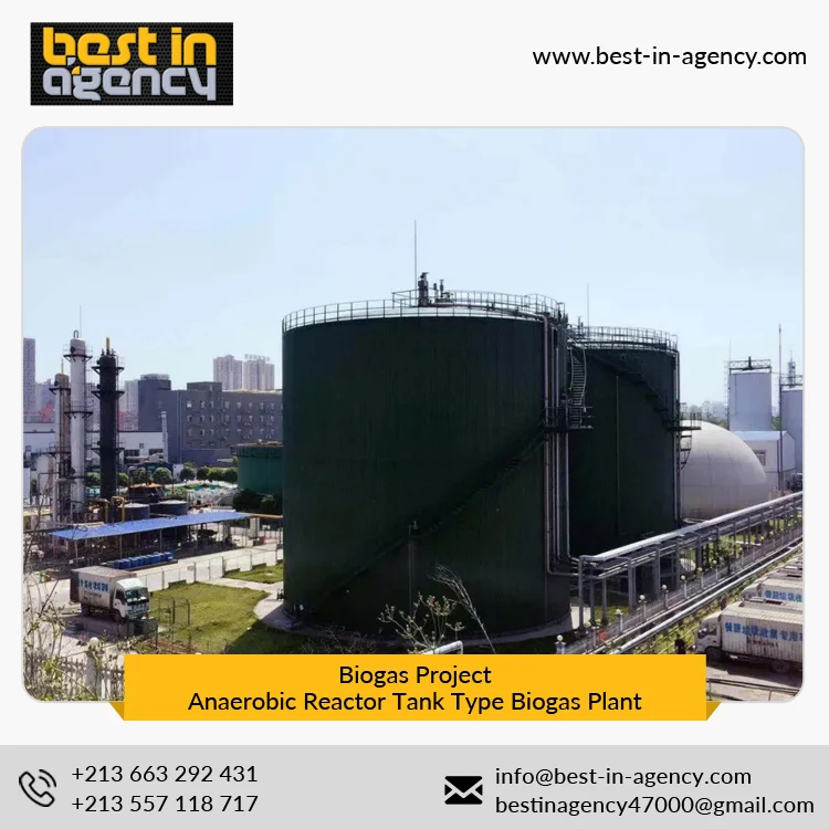 Biogas Project 20000 Nm3/Day Production Anaerobic Reactor Tank Type Biogas Plant Under EPC Mode