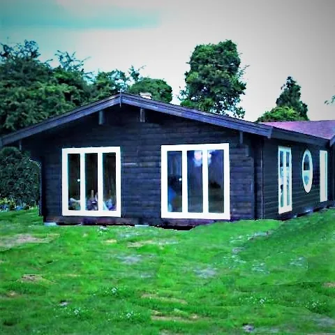 log house twin unit 6,8x20 m energy efficient hybrid log wall individual architecture