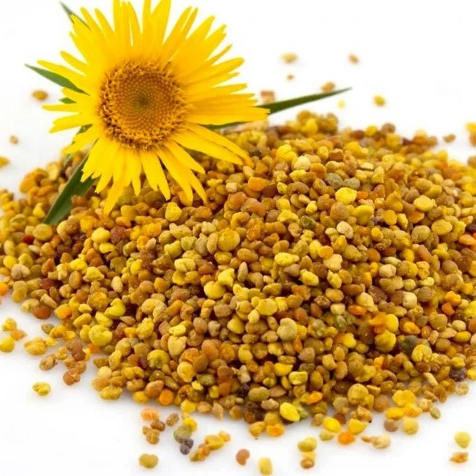 Top Quality 2023 - BEE POLLEN with COMPETITIVE PRICE from Vietnam