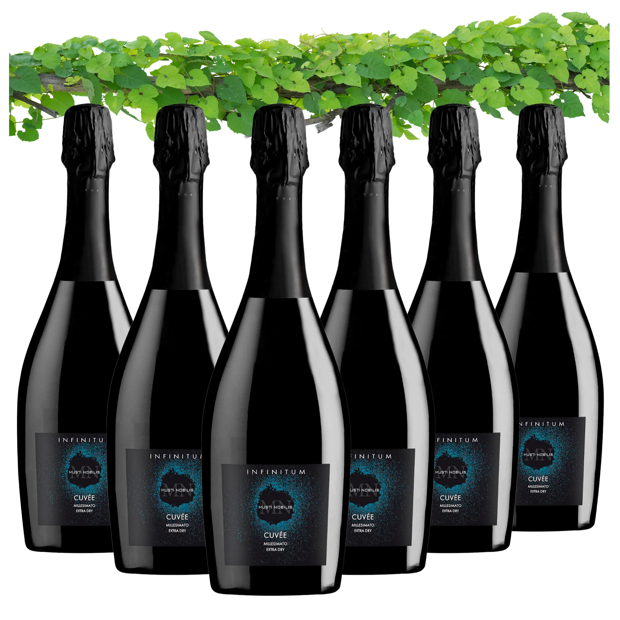 Sparkling Wine Italian Cuvee Extra Dry Millesimato  - Infinitum - sparkling wine price bottles 750 ml alcohol 11% for export