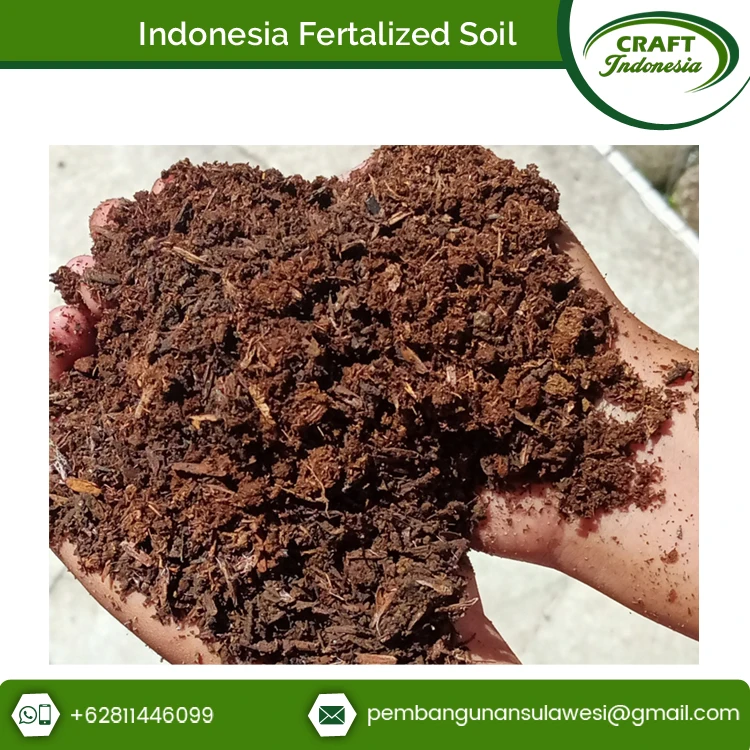 Wholesale Price Outstanding Quality Humic Acid Type CAS No 2021-06-08 Garden Soil Fertilizer Granular