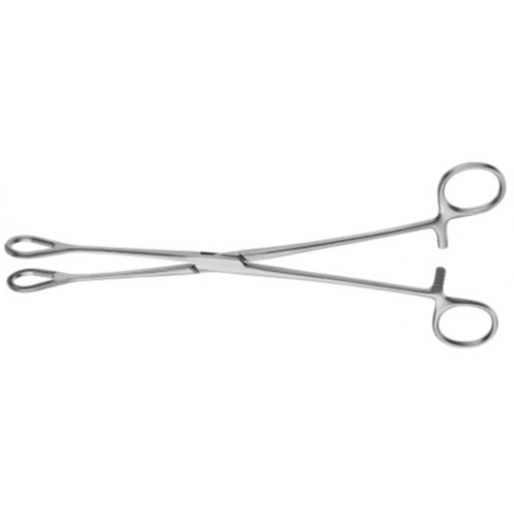 Surgical Instruments Stainless Steel Ovum Forceps Medical Supplies Gynecology Obstetrics Ovum and Placenta Forceps