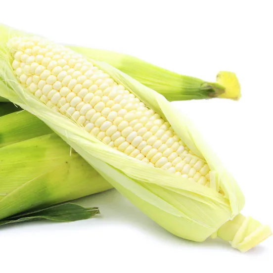 White Maize (Corn) For Sale
