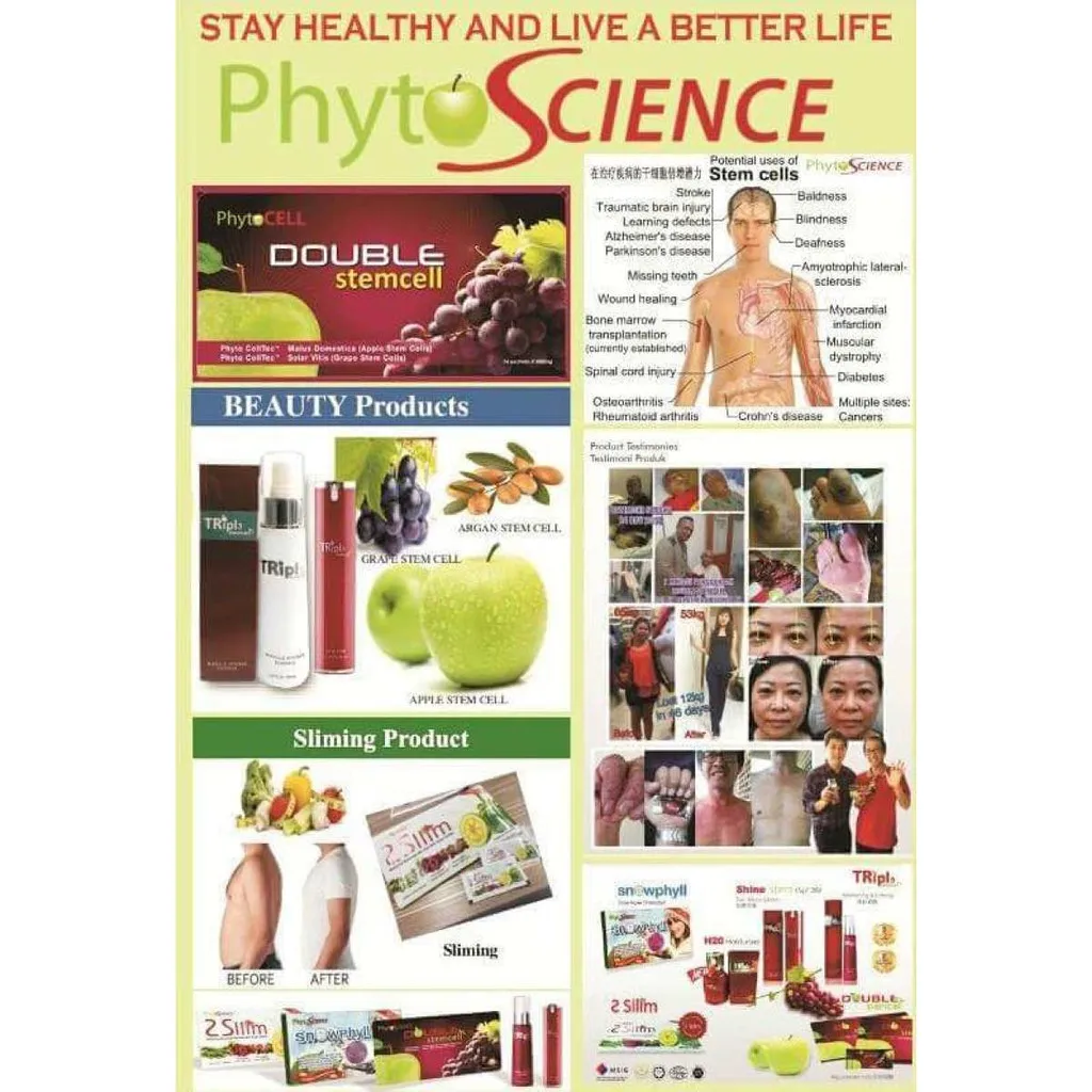 Double Stem Cell Made From Fruits Argan And Grape Size 14 Sachets High Grade Products From Thailand Manufactures