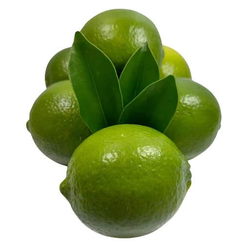 Fresh Green Seedless Lime Best Seller 2022 (11000001491692)