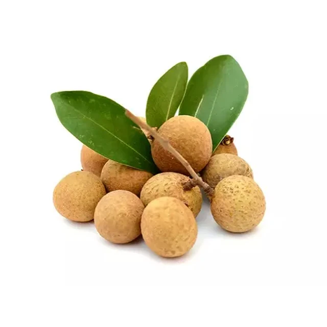 Fresh Longan made in vietnam 100% Natural Organic Cultivation type Wholesale Hot 2022