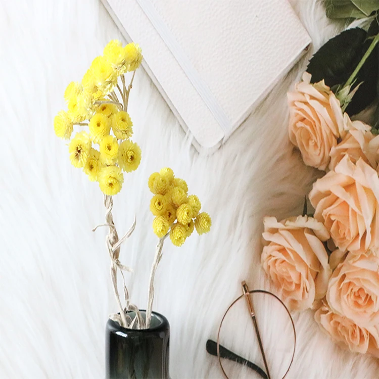 Высокое качество 100 г/упак. засушенные цветы Желтый Helichrysum Italicum цветок сушеные хризантемы букет цветов
