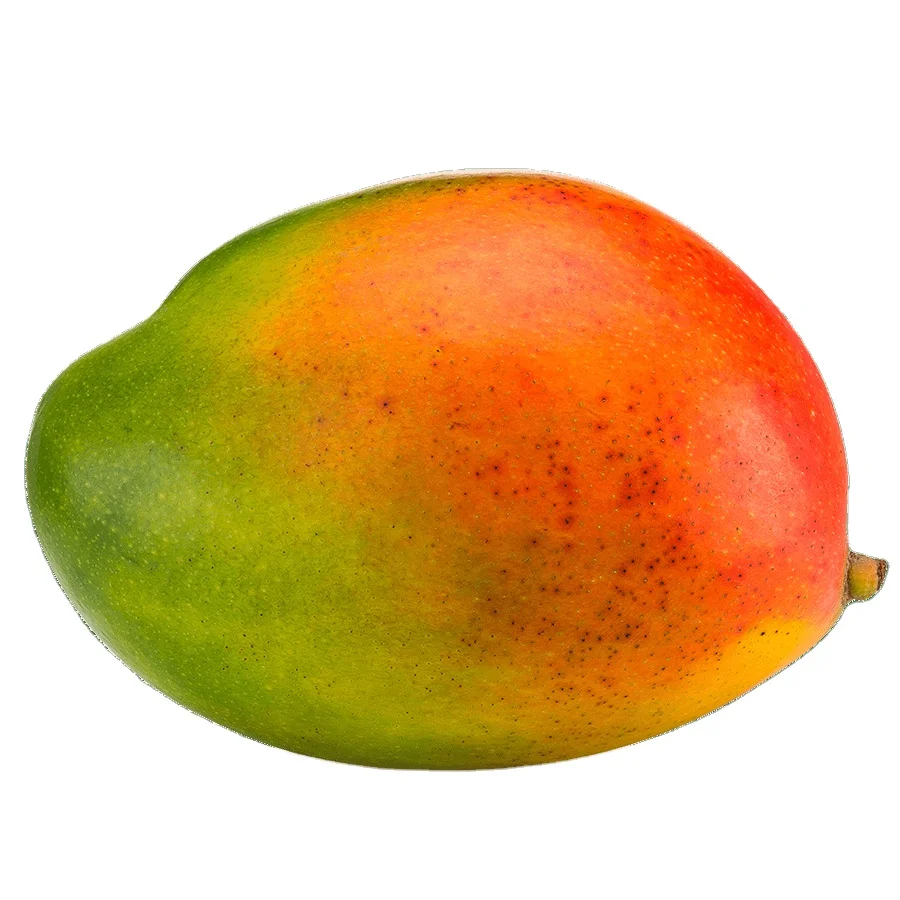 
Mango Tropical Sweet Style NATURAL Origin Type Variety Size Organic cultural from Vietnam 