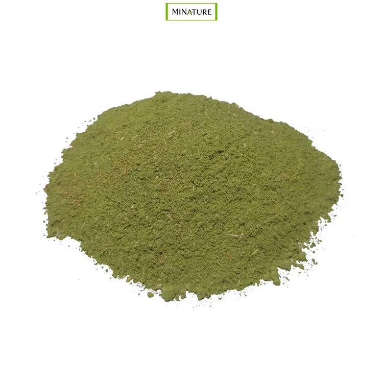 24 Months Shelf Life Organic SIDR Leaves Powder from Reputed Indian Dealer