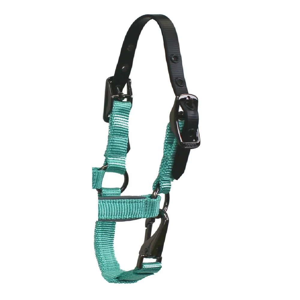 Top Quality Guanine Nylon New Padded Nylon Head Collar Diamante Bridle Set Horse Halter / Horse Nylon Halter Horse.