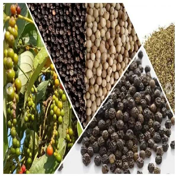  Вьетнамский черный перец по хорошей цене EDNA [+ 84 919 04 5050]