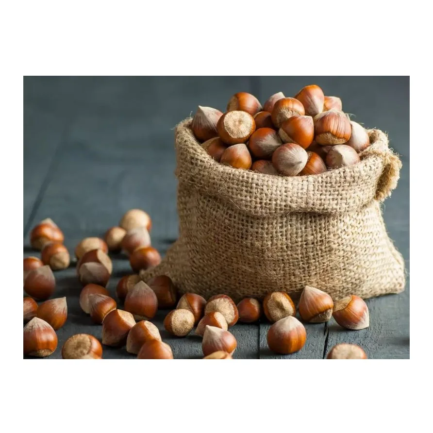 
High Quality Hazelnuts Available For Sale 