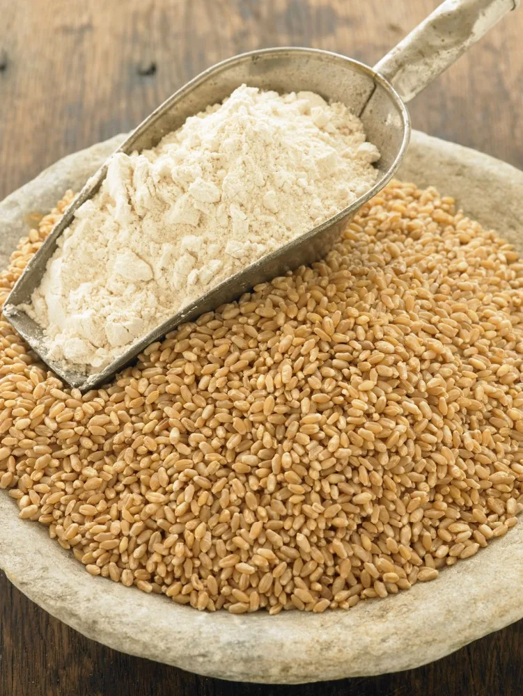 Spikelets Grains With a Lot Of Useful Elements Food Grade Wheat