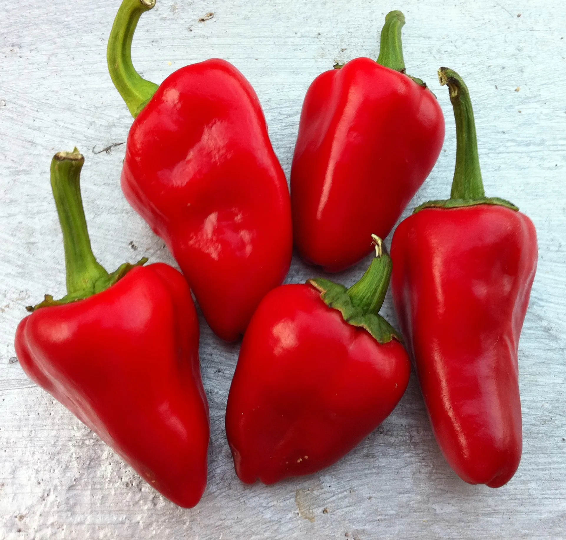 
Red Kardoula Peppers 
