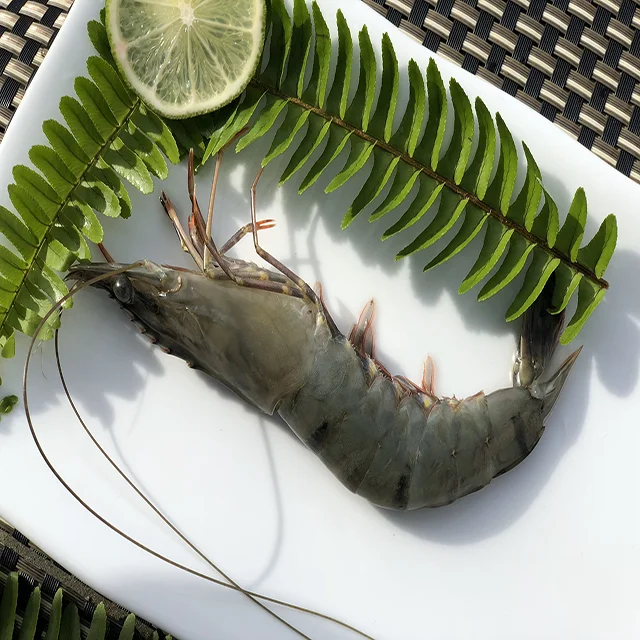 
Black Tiger Shrimp From Viet Nam 