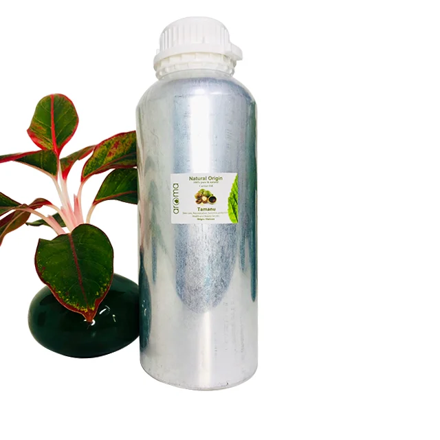 
Best Price High Quality Organic Natural Tamanu Oil 100% Pure Cold presser seed oil South of Vietnam Origin factory wholesale 