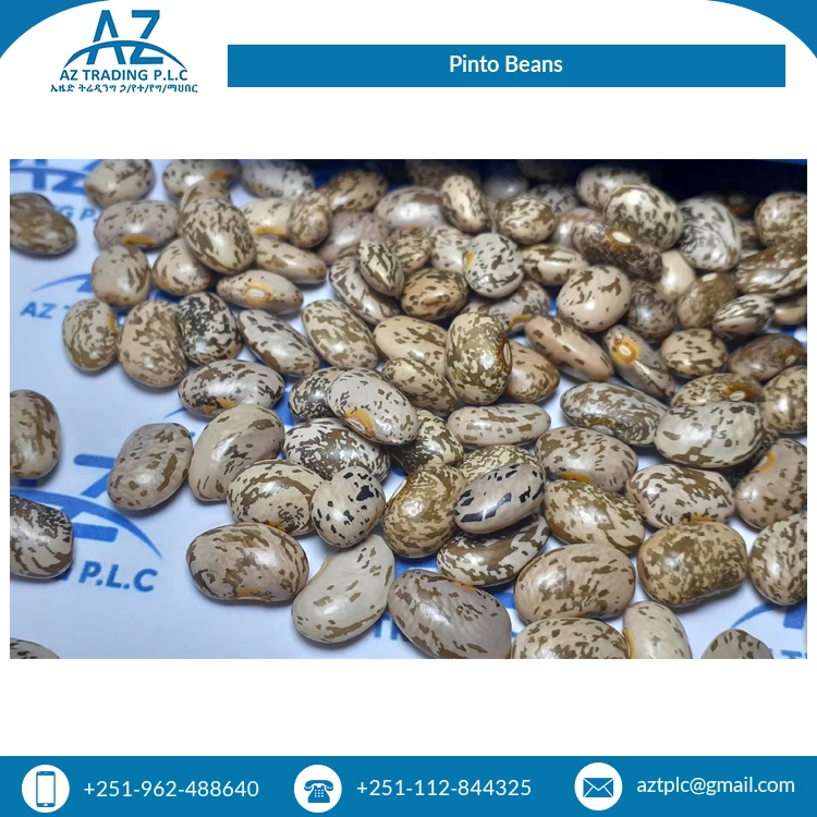 Factory Direct Sale Clean Red Speckled Dried Style Organic Ethiopian Pinto Beans for Wholesale Buyers