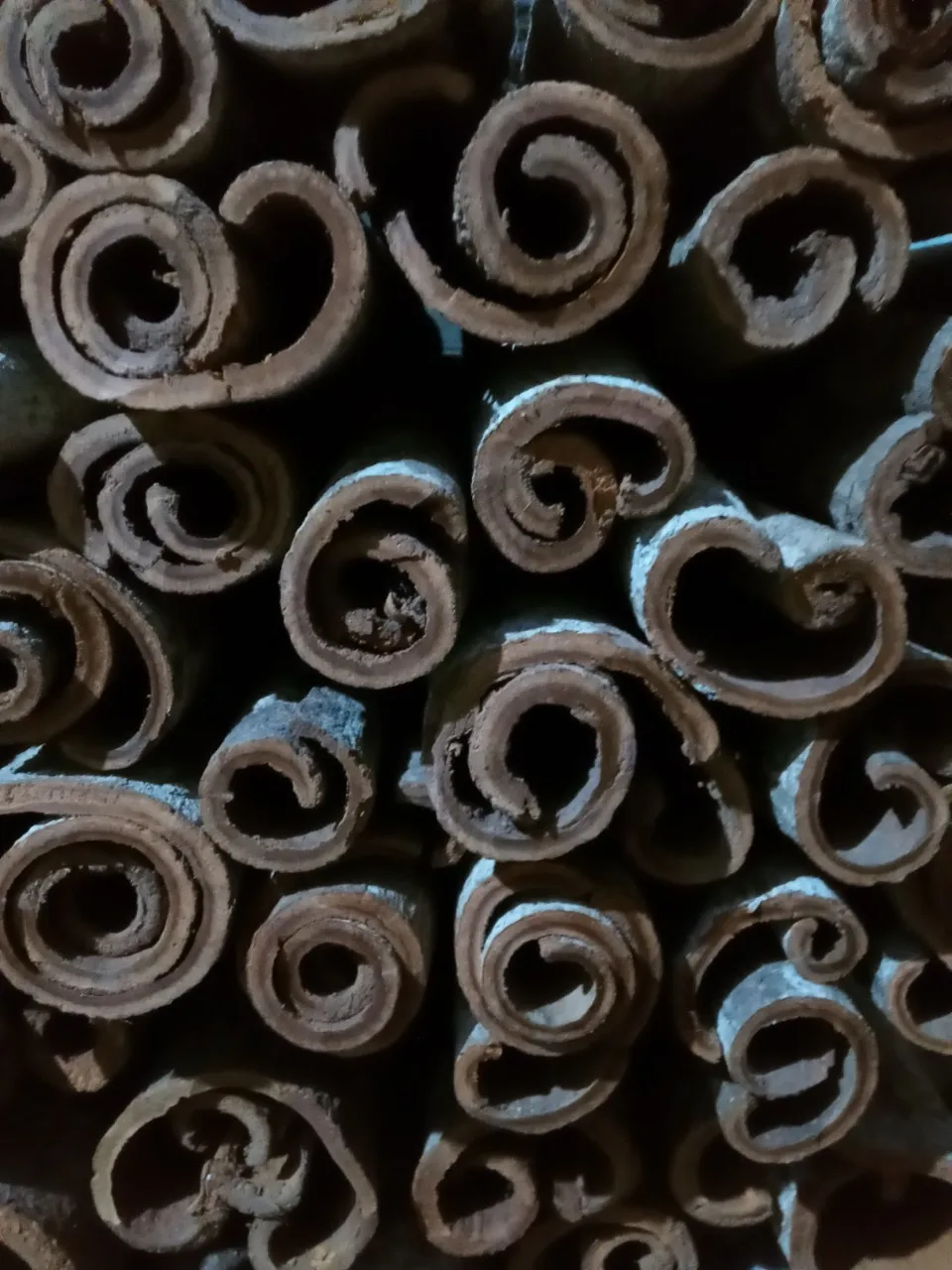 Лидер продаж аппарат для производства экстракта коричного масла корица цинамон пищевые ингредиенты одиночные специи травы Цейлон