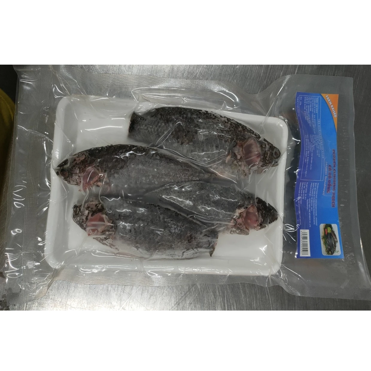 High Quality Frozen Tilapia WR Size 200/300 300/500g Best Fresh Whole Round Frozen Black Tilapia Fish