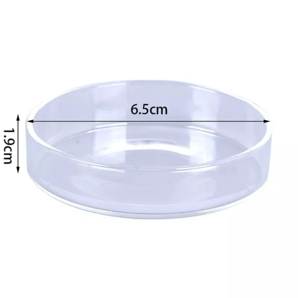 Aquarium Shrimp Feeding Dish Clear Glass Feeder Cup Fish Tank Feeding Food Tray Bowl for Shrimp Fish