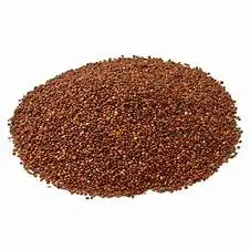 Top grade wholesale red sorghum grains sorghum good price