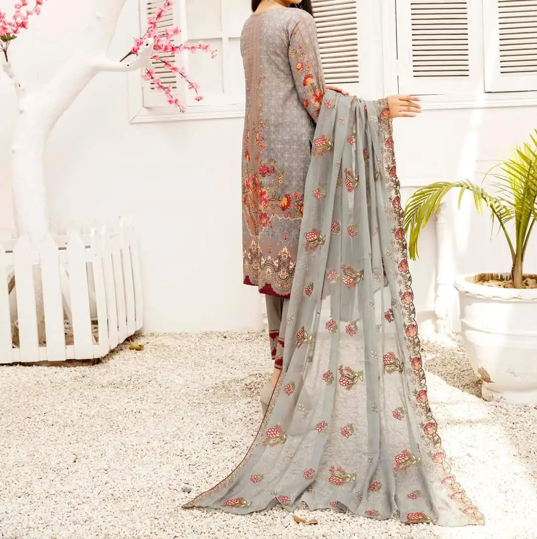 Хорошо выглядит потрясающее качество Пакистанская индийская шальвар камиз коллекция вышивка Передняя ручная работа задняя