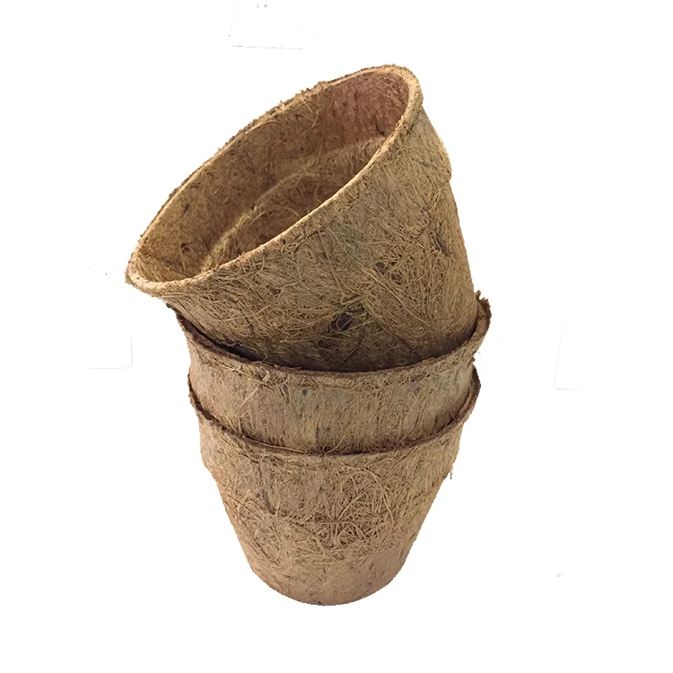 Coconut Coir Pot