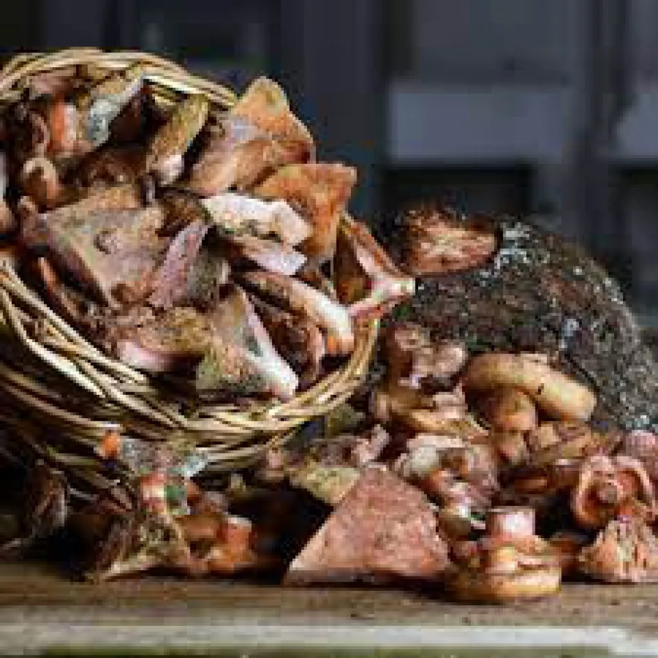 Низкая цена оптовая продажа высококачественные длительные сушеные грибы Kanlica Сделано в