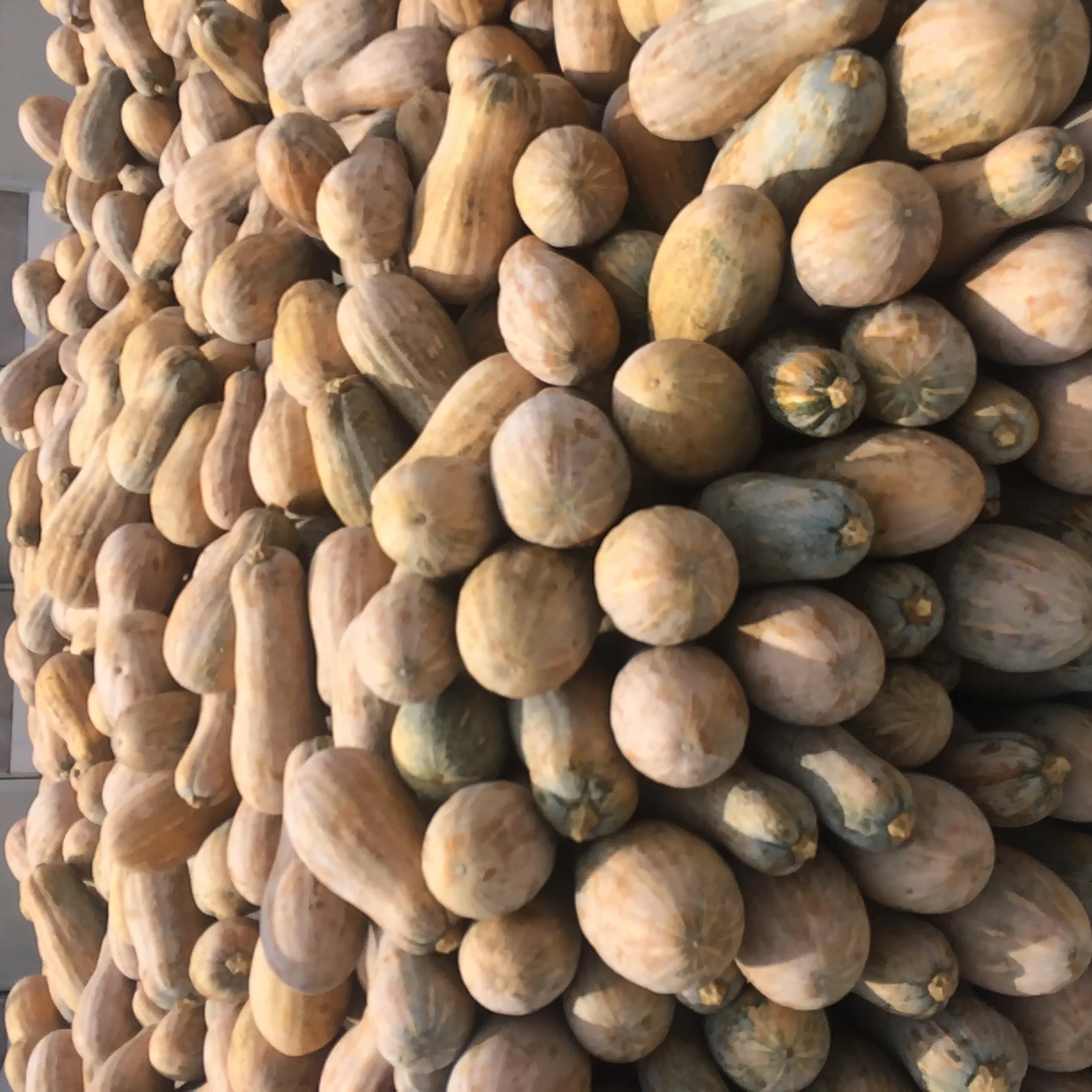 VIETNAMESE SWEET IQF FROZEN DICED PUMPKIN CUBE/ SLICE/ CHIP, EOM PACKING WITH PRIVATE LABEL, FIRST GRADE QUALITY, GOOD PRICES