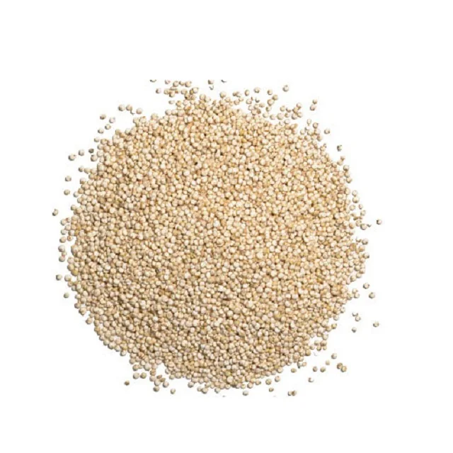 Raw quinoa