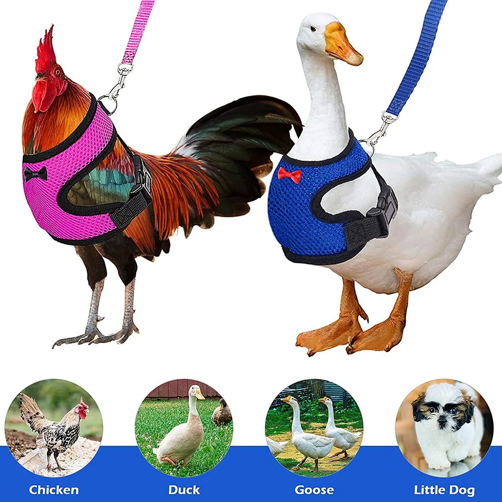 Pet Goose Duck Mesh Harness Breathable Chicken Vest Harness with leash For Walking Training